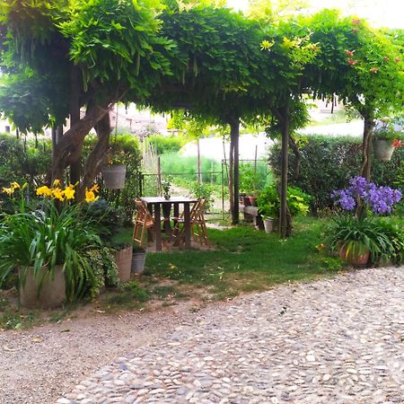 Il Germano Reale Bed & Breakfast Alba  Bagian luar foto