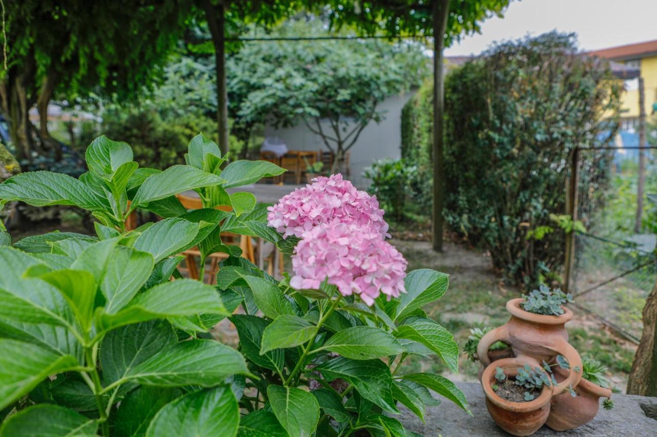 Il Germano Reale Bed & Breakfast Alba  Bagian luar foto