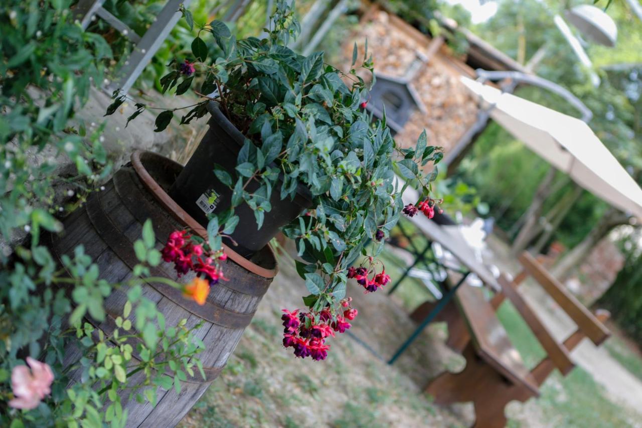Il Germano Reale Bed & Breakfast Alba  Bagian luar foto